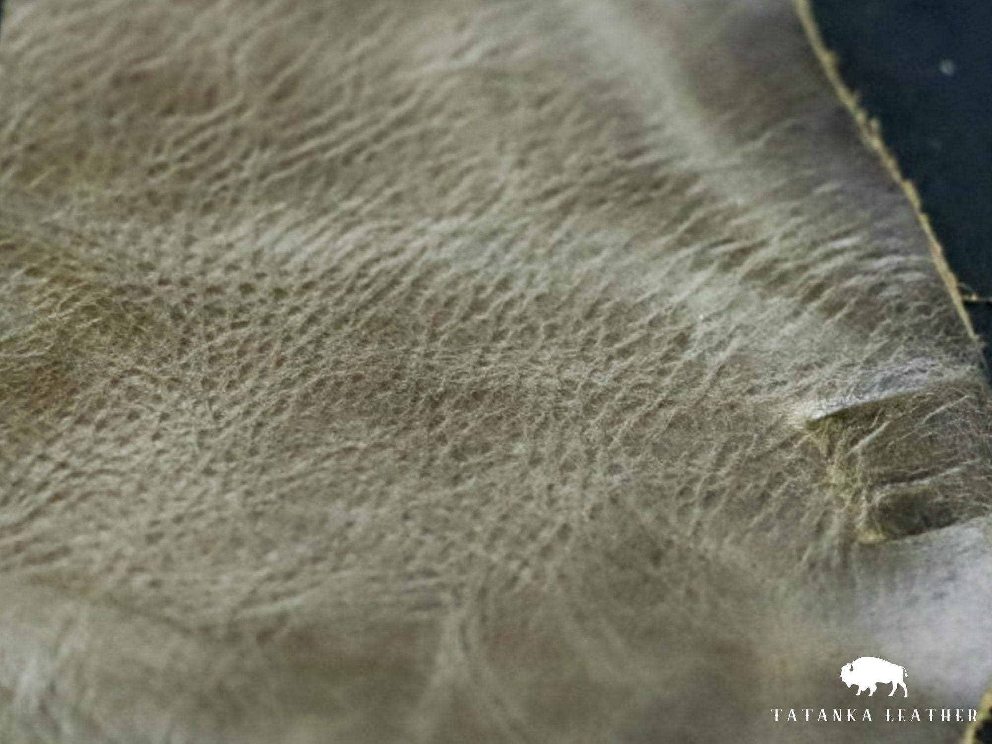 Italian Upholstery Wholehides