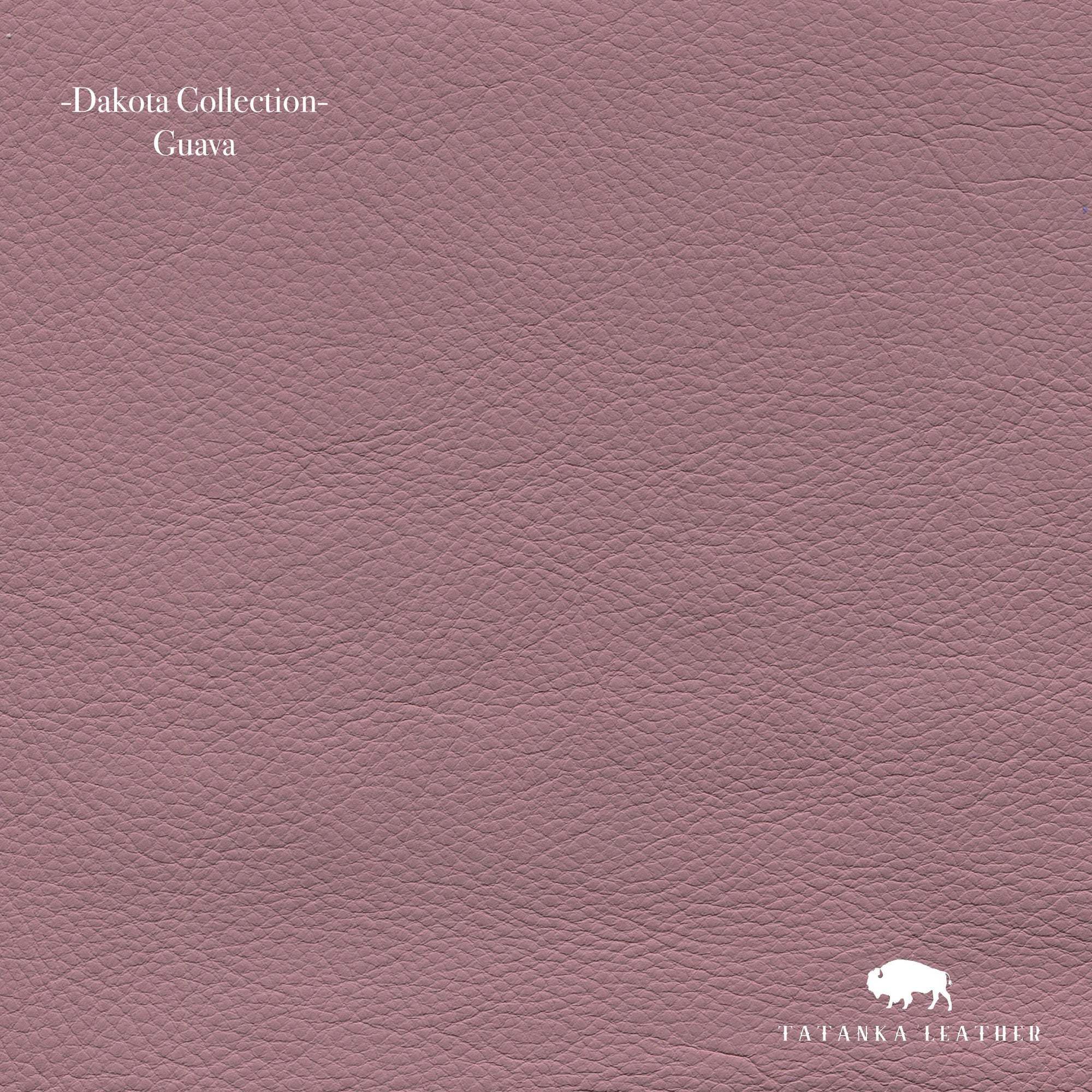 Dakota Collection