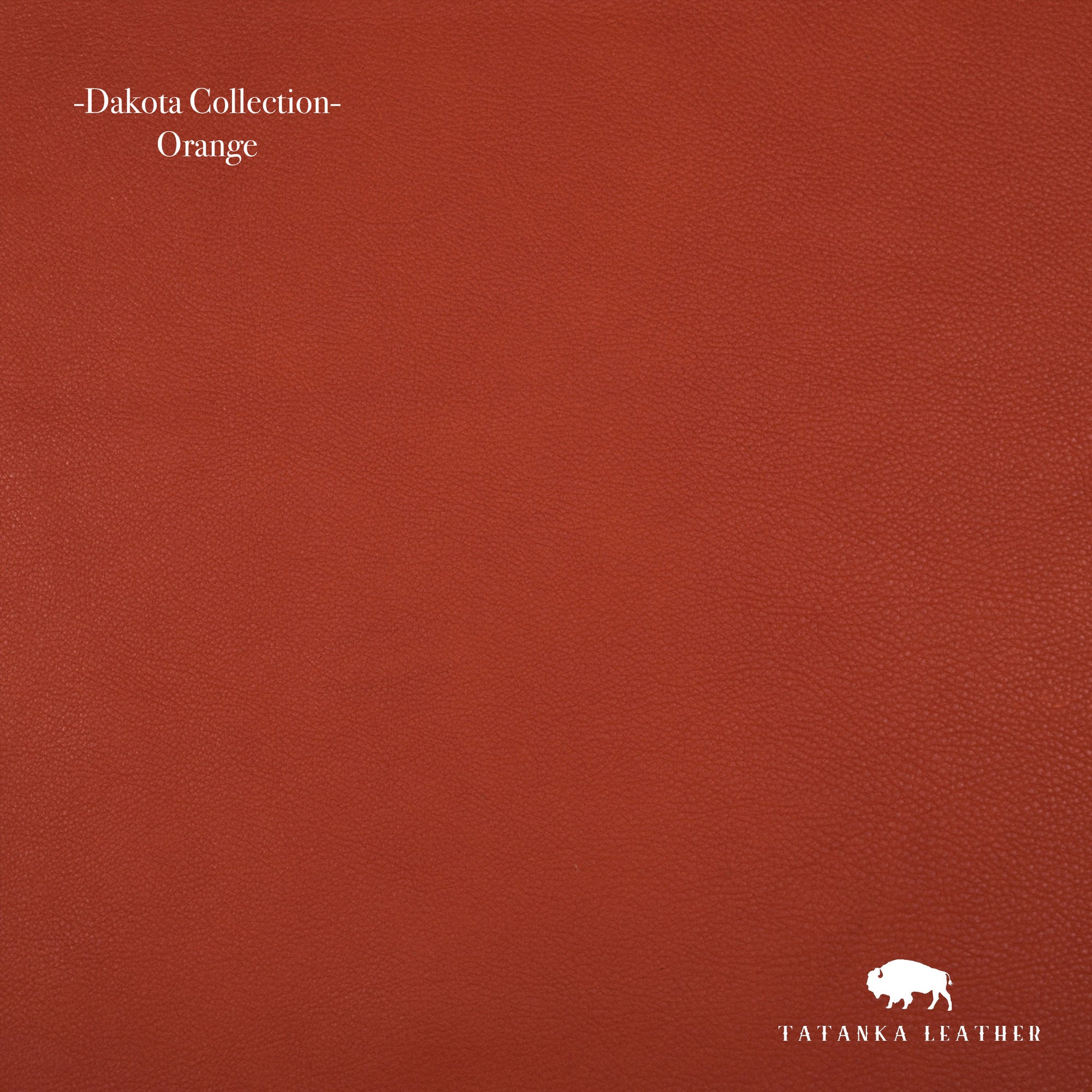 Dakota Collection